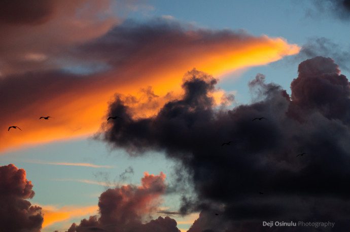 Galveston  - Beach at Sunrise - III