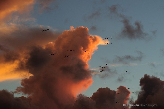 Galveston - Beach at Sunrise - IV