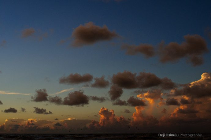 Galveston - Beach at Sunrise - V