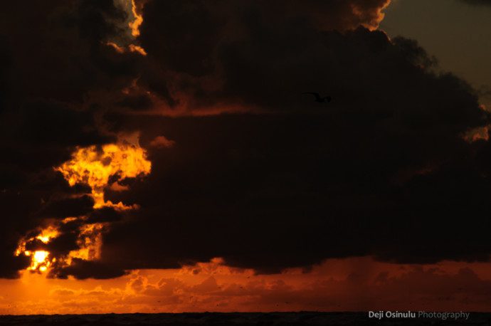 Galveston - Beach at Sunrise - VII