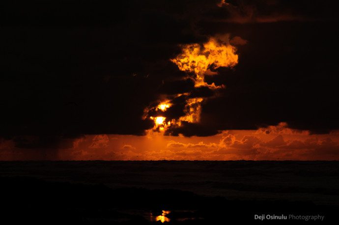 Galveston - Beach at Sunrise - VIII