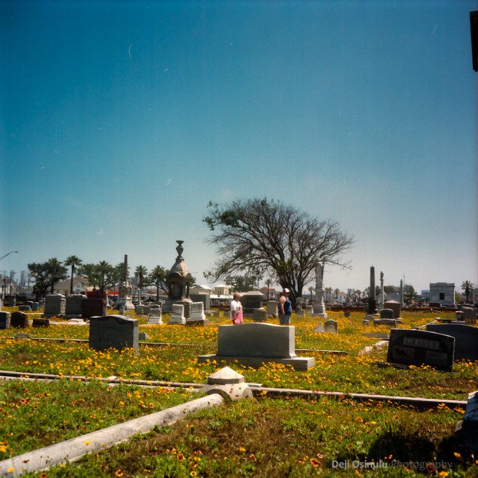 Cemetery - Galveston, TX (Rolleiflex - Kodak Portra 160 NC)