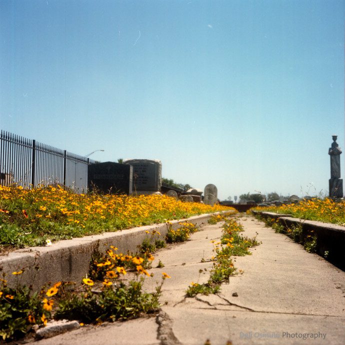 Cemetery - Galveston, TX (Rolleiflex - Kodak Portra 160 NC)