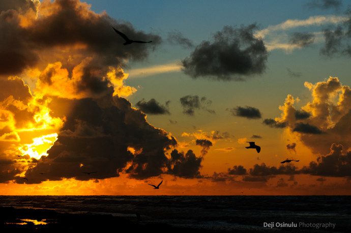 Galveston - Sunrise - IX