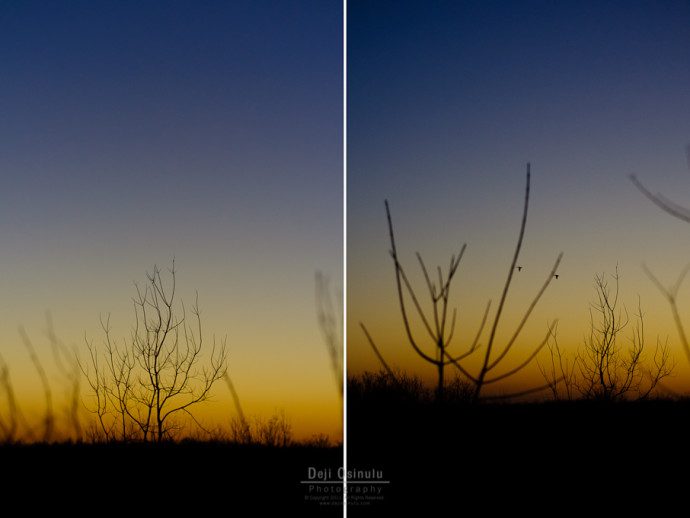 Vespers: Part 2 - Diptych II